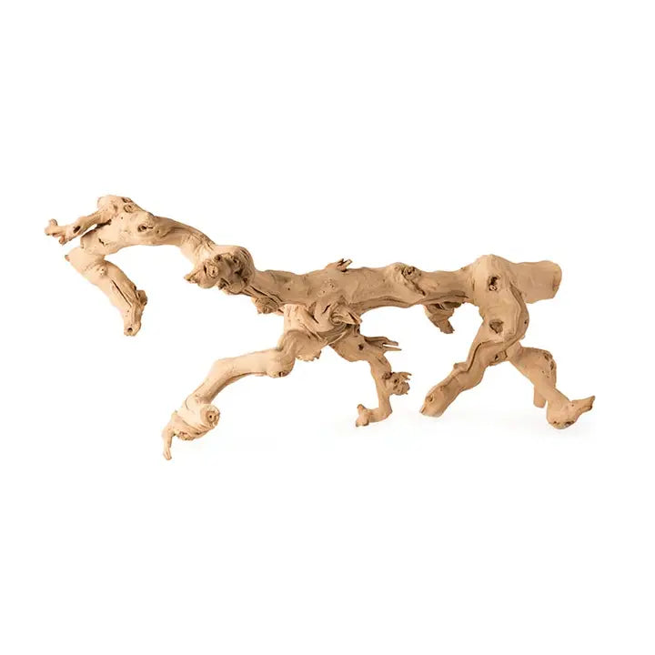 Grapevine Branch Medium