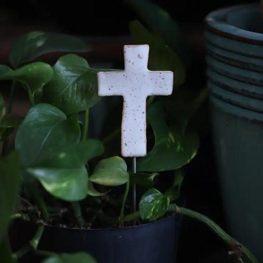 Plant Buddies - Cross