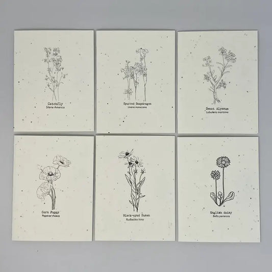 Plantable Wildflower Cards | Eco Variety Pack