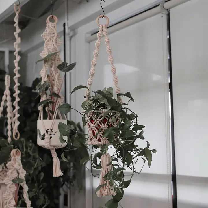 Basket Hanging Planter