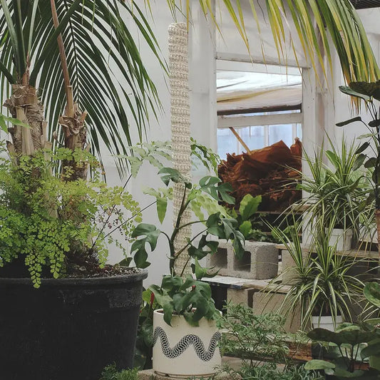 Stackable Plant Pole