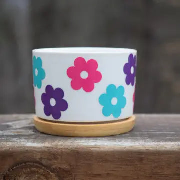 Retro Succulent Planter