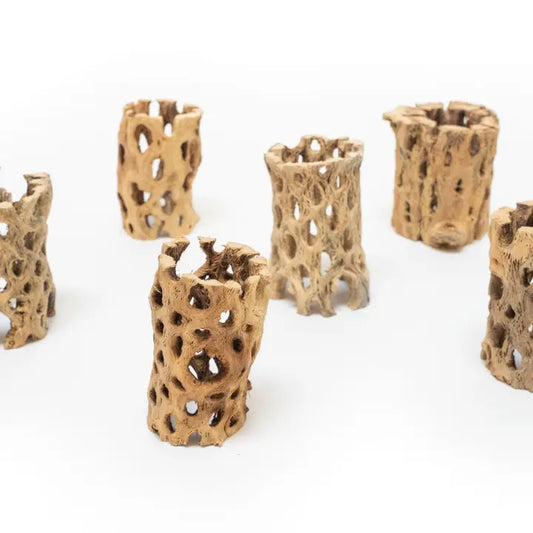 Natural Cholla Wood Container