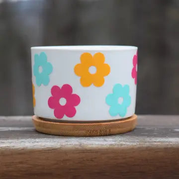 Retro Succulent Planter