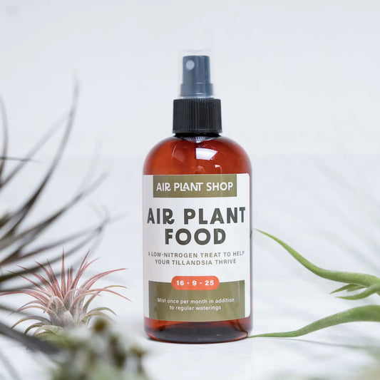 Tillandsia Air Plant Fertilizer