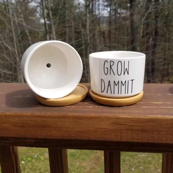 Funny Succulent Pot