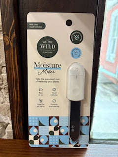Moisture Meter