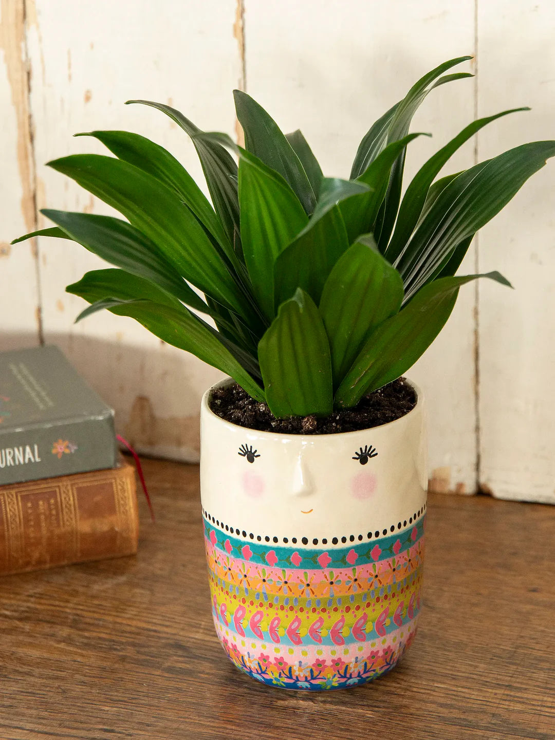Folk Friend Planter