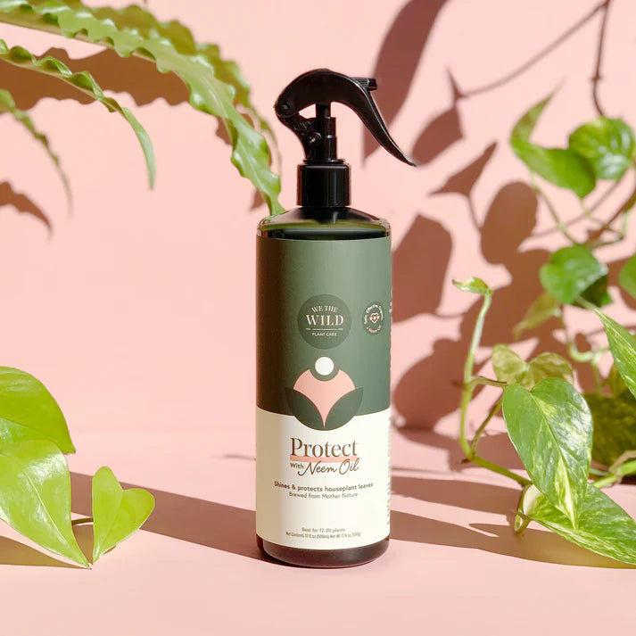 Leaf Spray with Neem Oil