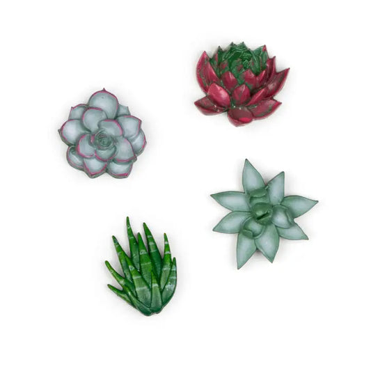 Succulent Magnets