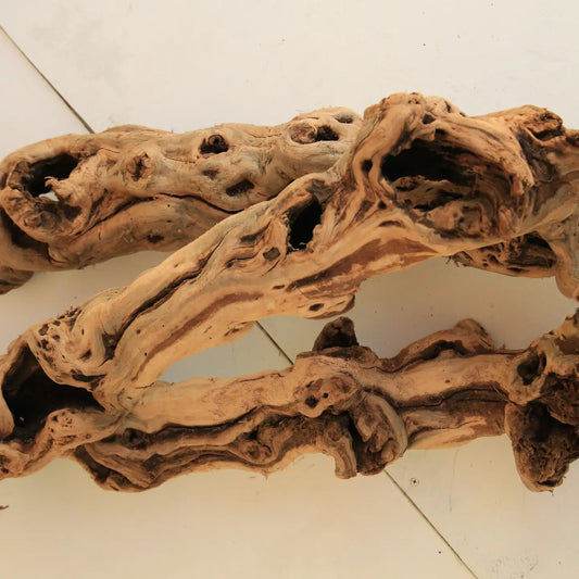 Tumbled Monster Grapewood Log