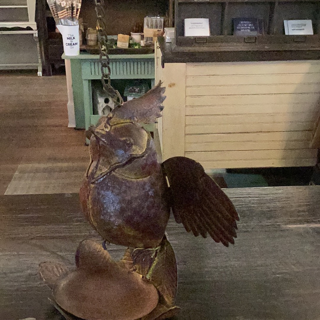 Bird