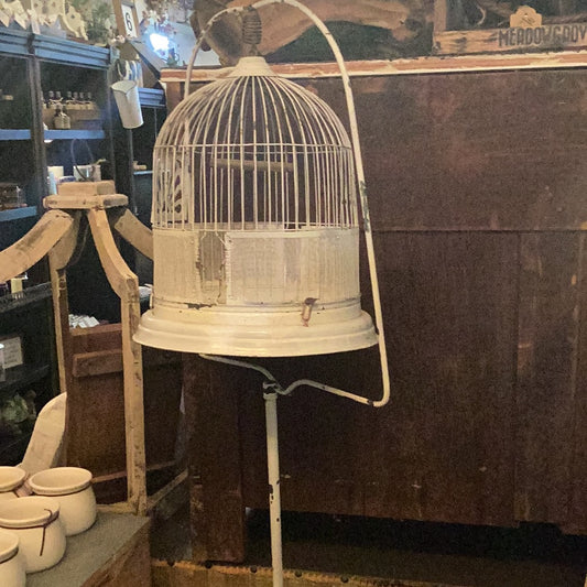 Antique bird cage