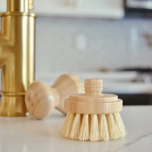 Modular Brush Refill Heads Only