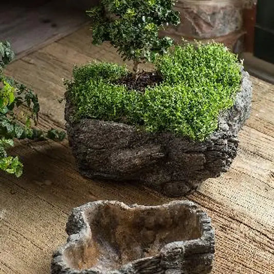 Cement Bark Planter