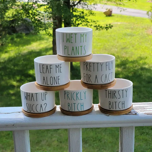 Funny Succulent Pot