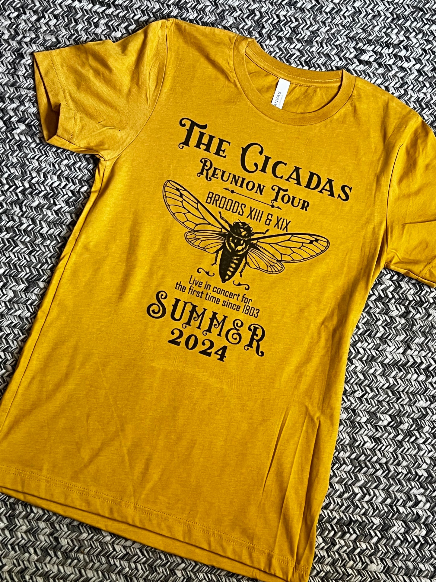 Cicada 2024 T-shirt