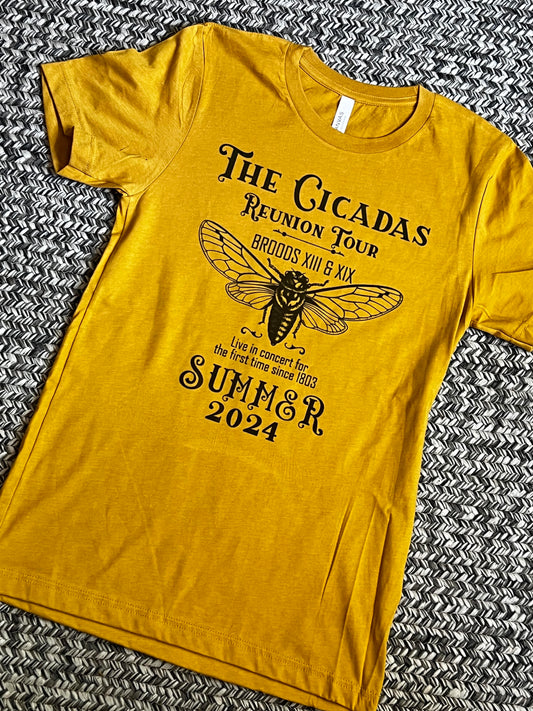 Cicada 2024 T-shirt