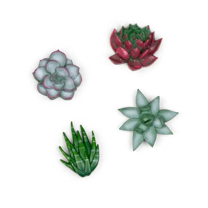 Succulent Magnets