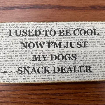 Vintage Dictionary Signs